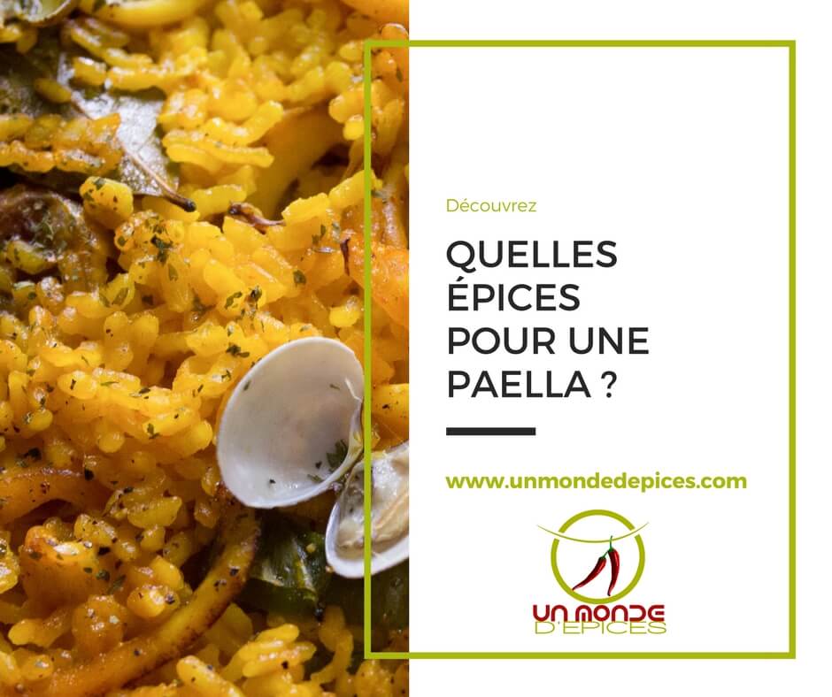 Épices paella au safran - Composition, dosage, recettes, histoire