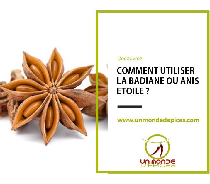 Badiane (anis étoilé) : bienfaits, infusion, comment l'utiliser ?