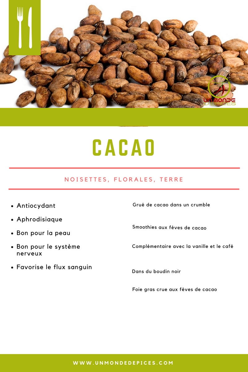Conseils et recettes fèves de cacao